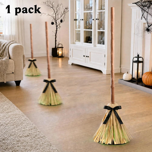 Animated Lighted Witch Broom