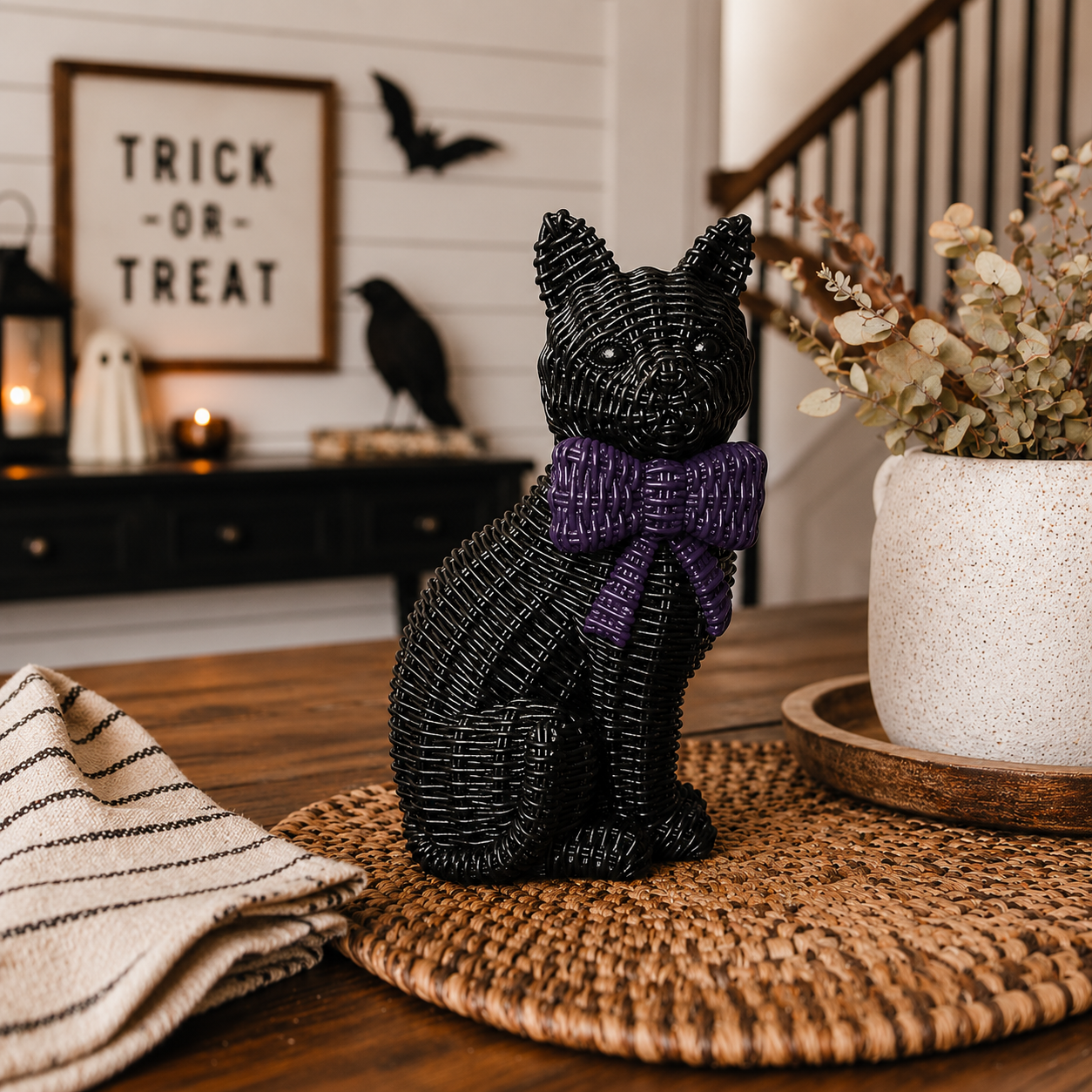 Black Cat-5