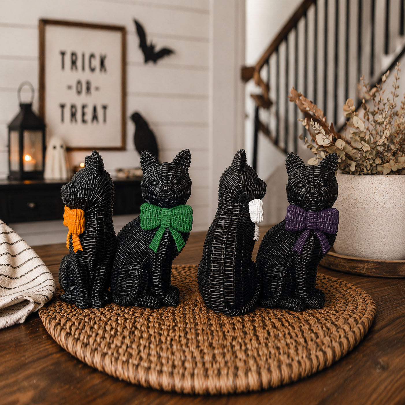 Black Cat-3
